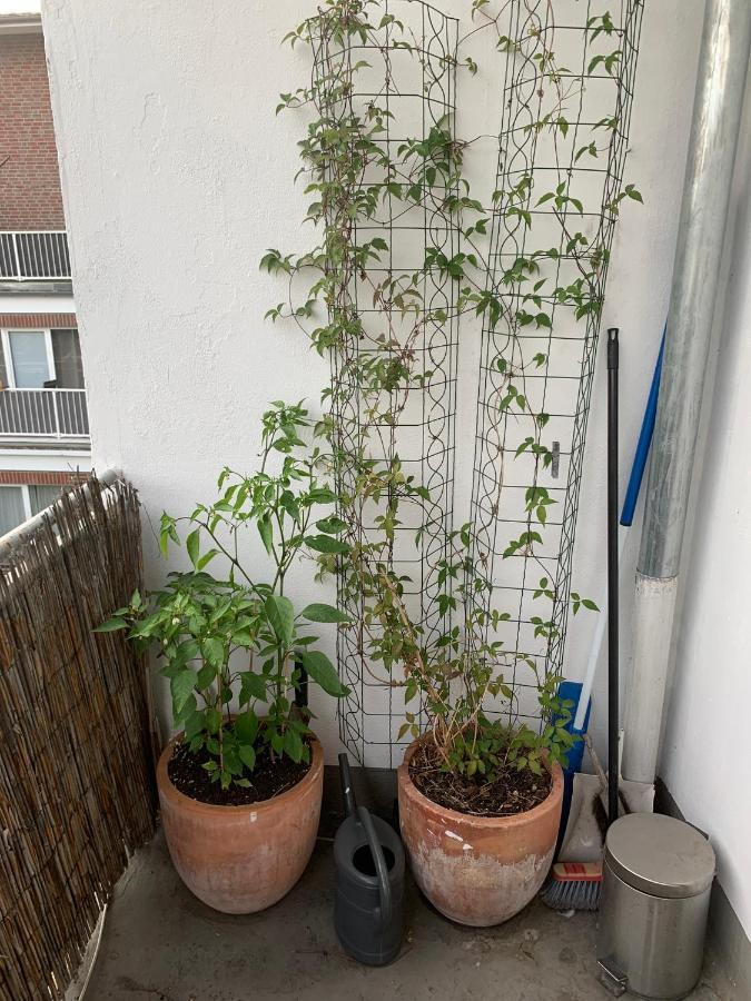 Zentrales Apartement BRE Екстериор снимка